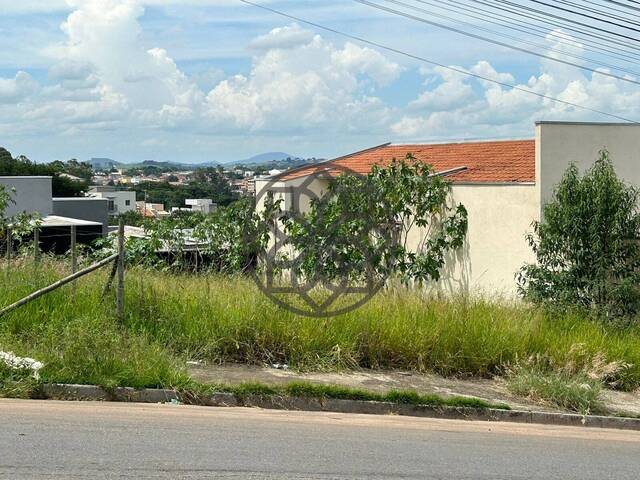 Venda em Parque real - Pouso Alegre