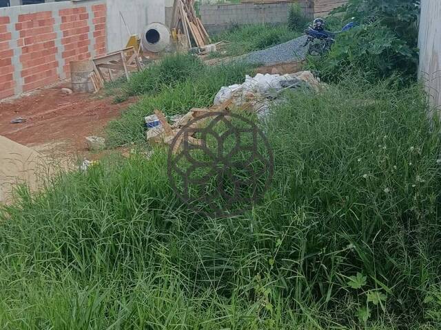 Venda em Parque real - Pouso Alegre